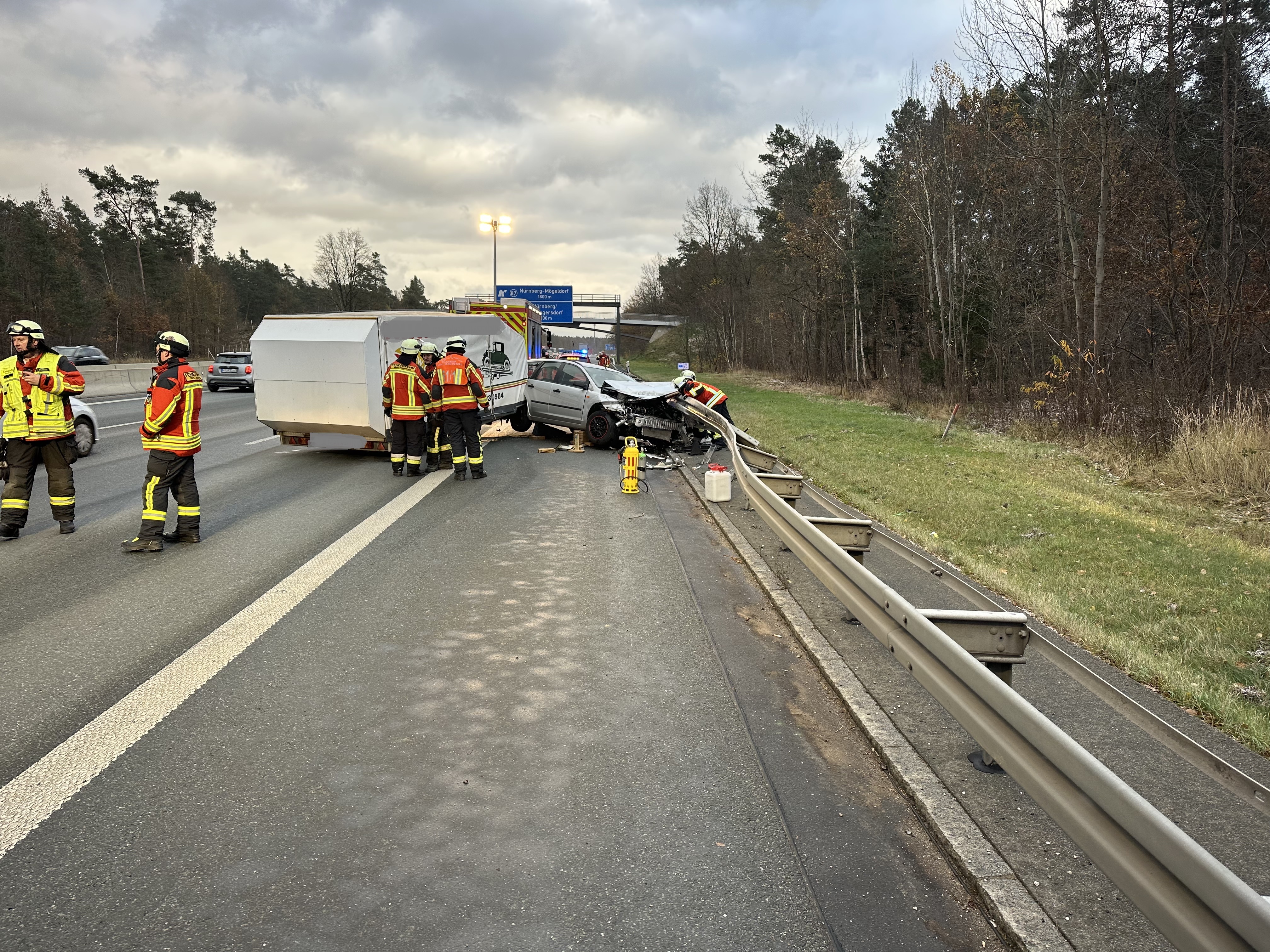 Delfino 2211242260(1) bearbeitet.jpg